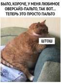 726x974