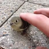 360x360