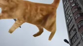640x360
