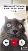 540x960