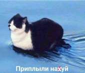 1080x937