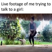 620x620