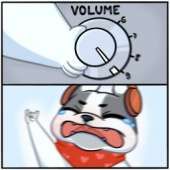 256x256