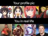 1080x809