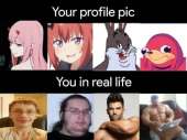 545x408