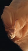 640x1138