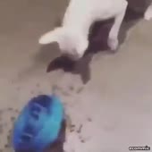 360x360