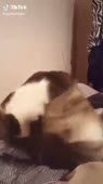 360x640