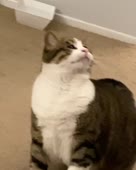 640x800