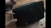 640x360