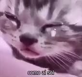 400x372