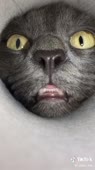 540x960
