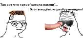 1080x498