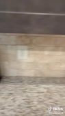 576x1024