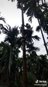 360x638