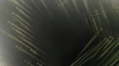 1280x720
