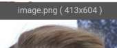 480x198