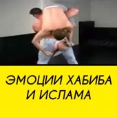 360x360