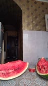 576x1024