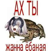 604x604