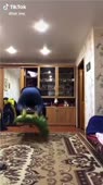 406x720