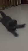 720x1278