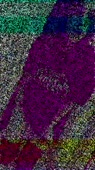 576x1024