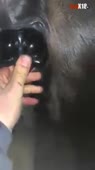 320x568