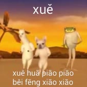 360x360