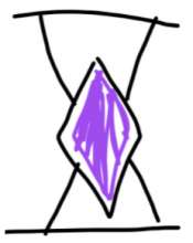 231x289
