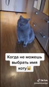 544x960