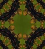 808x880