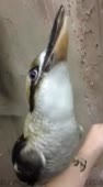 400x720