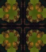 808x900