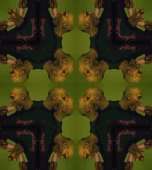 808x900
