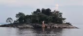 640x284