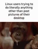 220x282