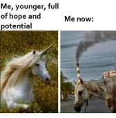 460x465