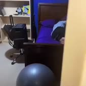 460x460