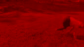 460x258