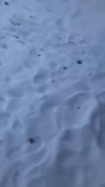 408x720