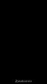 500x888