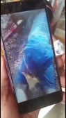 360x640