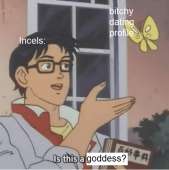 500x501