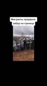 480x864