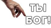 300x168