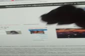 720x480