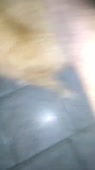 480x854