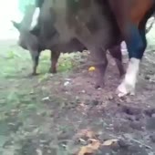 360x360