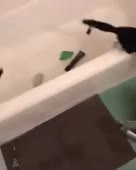 288x360